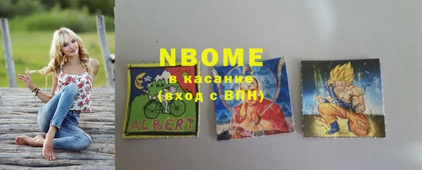 дмт Богородицк