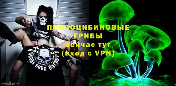 прущие крисы Верея