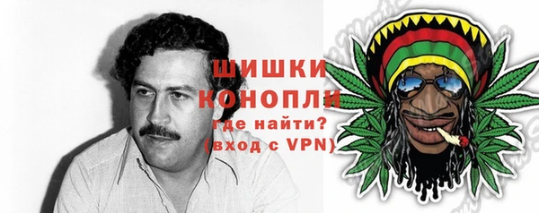 дмт Богородицк