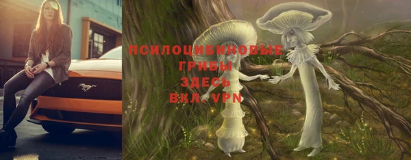 мескалин Богданович