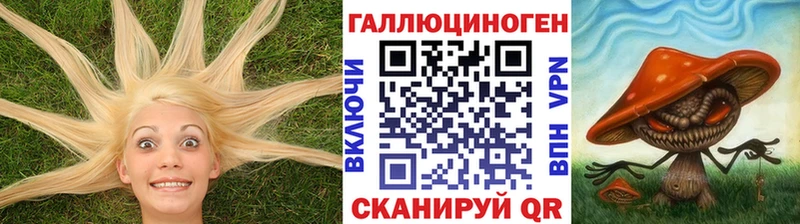 MEGA вход  Вытегра  Галлюциногенные грибы мицелий 